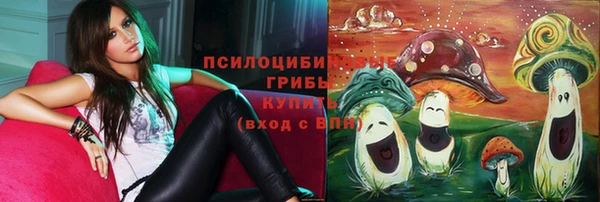 прущие грибы Нязепетровск