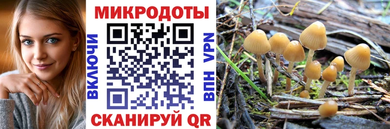 Псилоцибиновые грибы мицелий  Нижняя Салда 